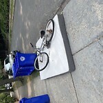 Trash/Recycling at 1099 Beacon St