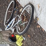Trash/Recycling at 1089 Beacon St
