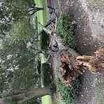 Park Playground at Thatcher St & Amory St