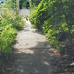 Sidewalk Obstruction at 34 Somerset Rd