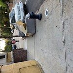 Trash/Recycling at 669 Washington St