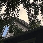 Public Trees at 118 Griggs Rd