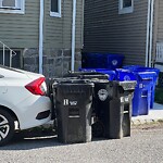 Trash/Recycling at 17 E Milton Rd