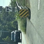Traffic Signal at 910 Boylston St, Chestnut Hill