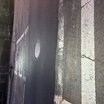 Sidewalk Repair at Harvard St