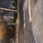 Sidewalk Repair at Harvard Ave