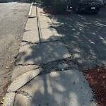 Sidewalk Repair at 30 Cameron St