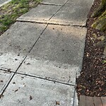 Sidewalk Repair at Buckminster Rd