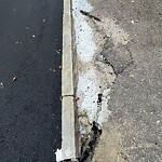 Sidewalk Repair at 135 Sumner Rd
