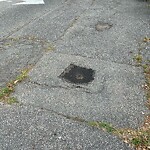 Sidewalk Repair at 14 Sumner Rd
