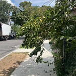 Sidewalk Obstruction at 118 Sumner Rd
