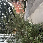 Sidewalk Obstruction at 25 Park St Sidewalk Obstruction at 25 Park St