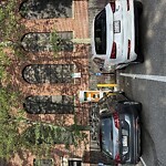 Parking Issues at Webster St