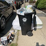 Trash/Recycling at 89 Marion St