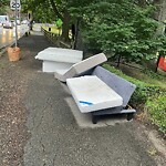 Trash/Recycling at 18 Dean Rd