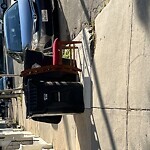 Trash/Recycling at 14 Homer St