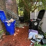 Trash/Recycling at 88 Browne St