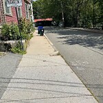 Trash/Recycling at 81 Franklin Ct