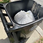 Trash/Recycling at 31 Gibbs St