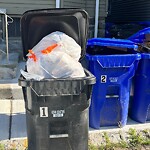 Trash/Recycling at 17 E Milton Rd