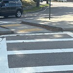 Sidewalk Obstruction at 163 Bellingham Rd, Chestnut Hill