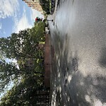 Traffic Signal at Pleasant St & Freeman St