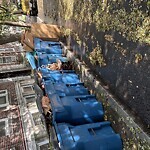 Trash/Recycling at 28 Littell Rd