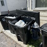 Trash/Recycling at 14 Homer St