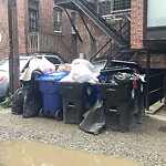 Rodent Issues at 1406 Beacon St