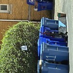 Trash/Recycling at 11 Park St