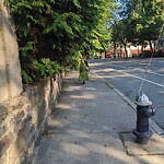 Sidewalk Obstruction at 3 Wellington Terrace