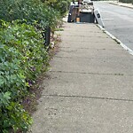 Trash/Recycling at 19 Netherlands Rd