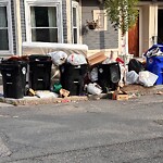 Trash/Recycling at 19–69 Homer St