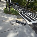 Streetlight at 1486 Beacon St