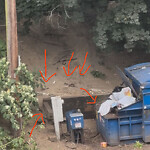 Rodent Issues at 106 Sewall Ave, Brookline 02446