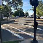Traffic Signal at 141 Carlton St