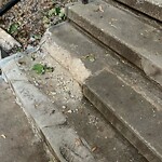 Sidewalk Repair at Summit Path