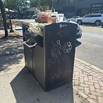Trash/Recycling at 429 Harvard St