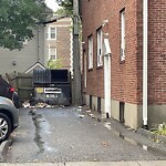 Rodent Issues at 58 Manchester Rd, Brookline 02446