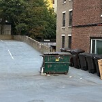 Trash/Recycling at 133 Park St