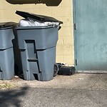 Trash/Recycling at 1005 Beacon St