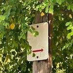 Damaged Sign at 42.33 N 71.13 W