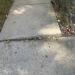 Sidewalk Repair at 25 Clark Rd