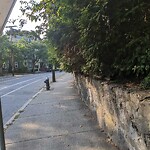 Sidewalk Obstruction at 5 Wellington Terrace