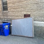 Trash/Recycling at 115 Park St