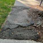 Sidewalk Repair at 128 Beaconsfield Rd