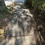 Sidewalk Repair at 1–7 Beaconsfield Rd