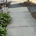 Sidewalk Repair at 28 Beaconsfield Rd