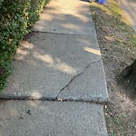 Sidewalk Repair at 43 Beaconsfield Rd
