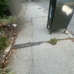 Sidewalk Repair at 106 Beaconsfield Rd